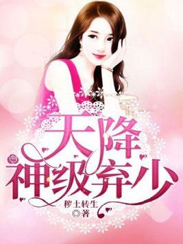 天降神婿免费全文