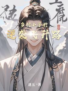 乡村小子传奇