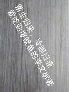重生归来只想做冷先生小娇妻