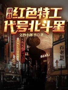 我的卧底对象txt