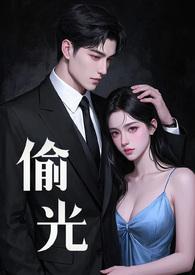 偷光成语