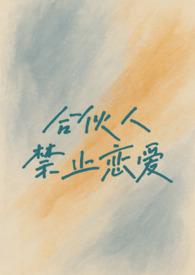 合伙人的限制