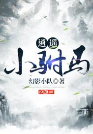 逍遥小驸马 幻影小队