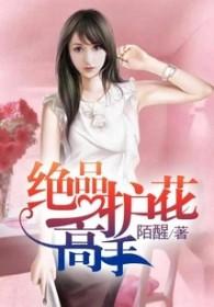 绝品护花高手 聚合中文网