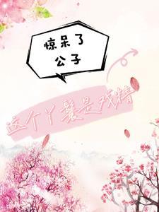 丫鬟和公子的古言
