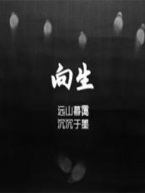 向死无途