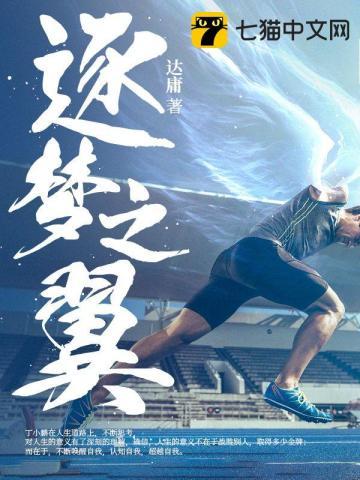 逐梦之翼上架时间