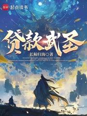 贷款武圣无防盗