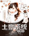 土豪系统的