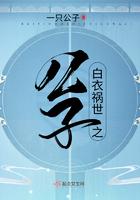 白衣祸世之公子全文阅读