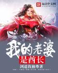 动漫我的老婆是会长
