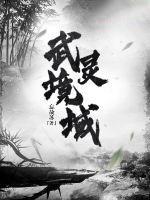 武灵天下境界排行