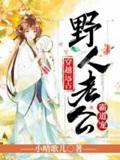 叶清心与启