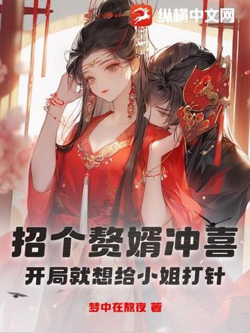 招婿入赘契约