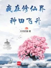 金玉其外无弹窗
