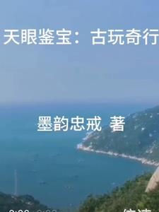 天眼鉴宝全文免费阅读