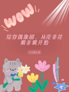 综穿偶像剧的 电视剧