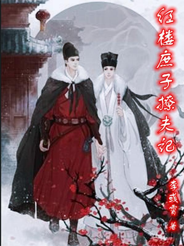 红楼之庶子逆袭