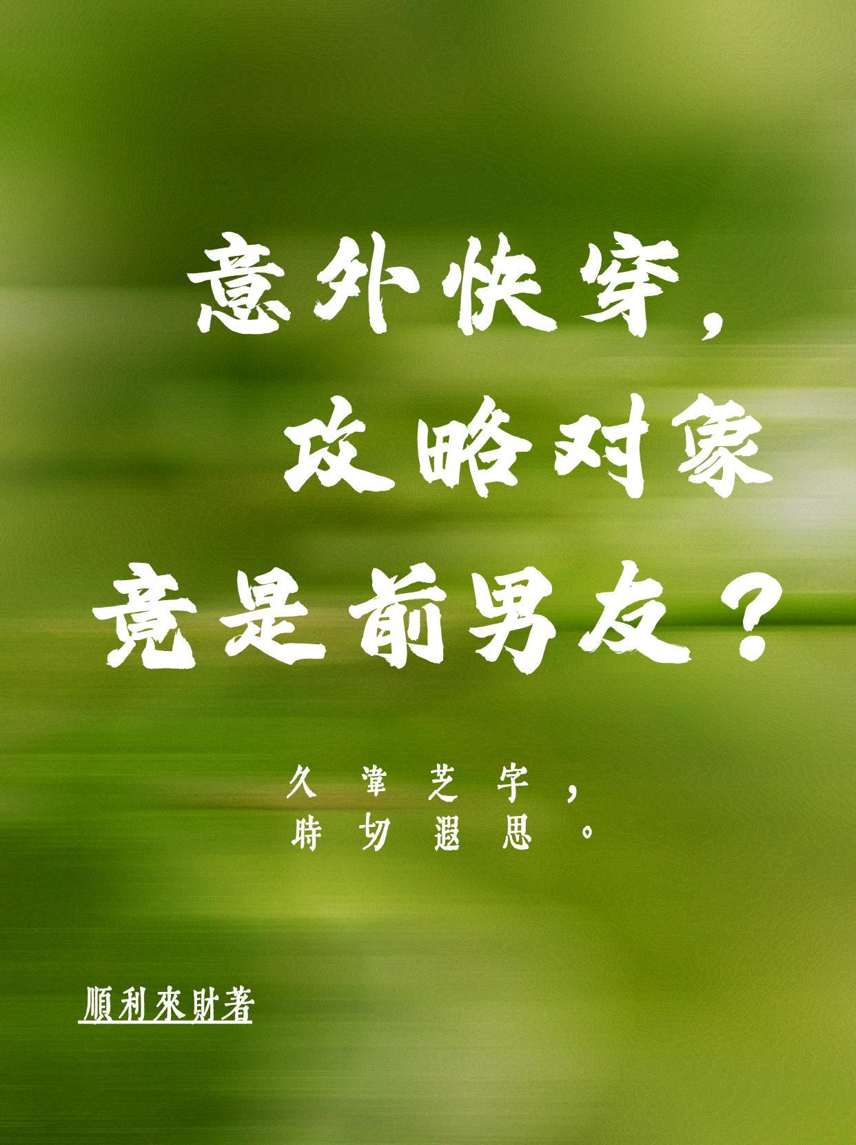 攻略对象出了错 副cp