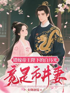 错嫁帝王陛下的白月光竟是市井妻免费阅读