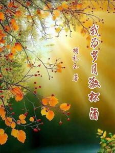 我为岁月敬杯酒演唱会