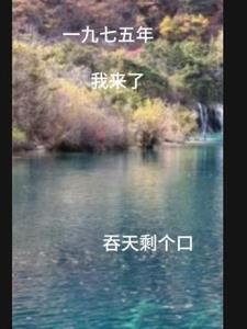 重生一九七九年的
