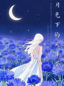 月光下的瞎想