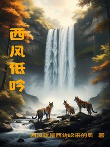 西风飋飋