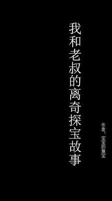 我和老叔的离奇探宝故事简介