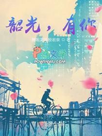 韶光似你