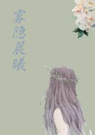 雾隐巷阅读