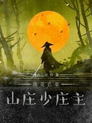 孔雀山庄卧底