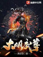 大明武帝系统