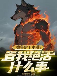 德鲁伊咋玩