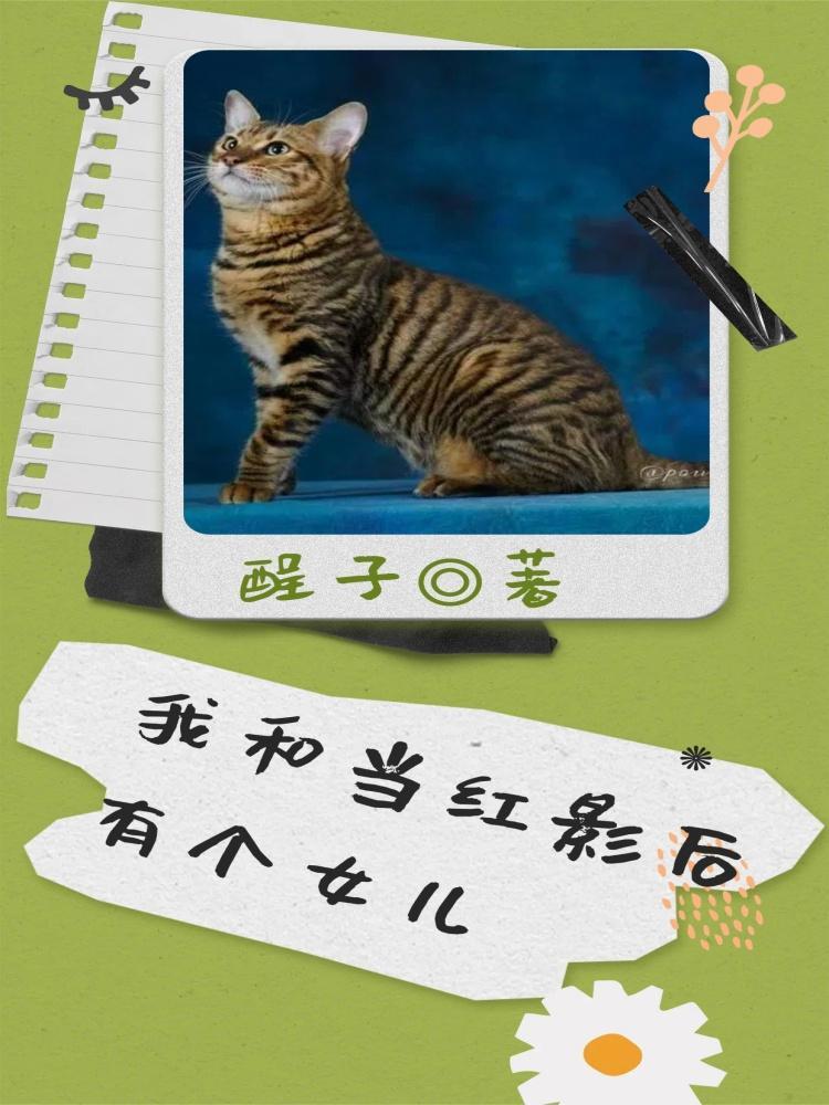 我和影后有个约会(快穿)