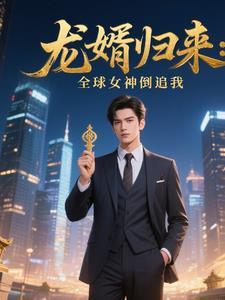 龙婿回来