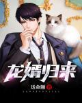 龙婿归来txt