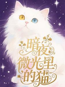 暗夜微光里的猫是什么猫