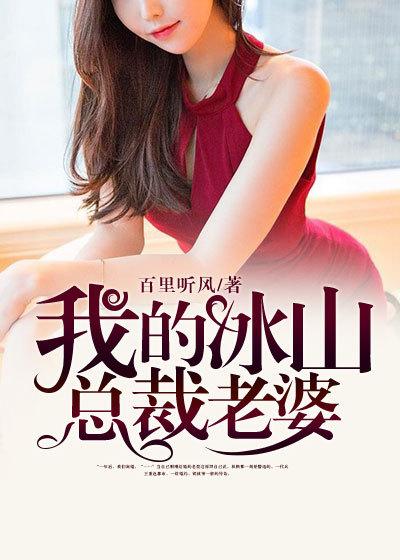 我的冰山总裁老婆林枫