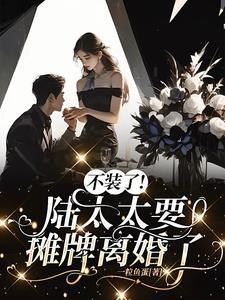 陆太太每天都在闹离婚免费阅读