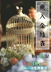 飞入金丝雀by青瑟