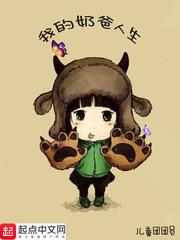 我的奶爸人生精校版