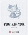 无限舰队是哪个国家的