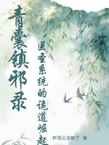 青囊医书男主