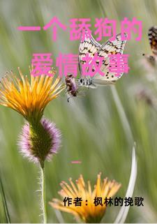 舔狗 故事
