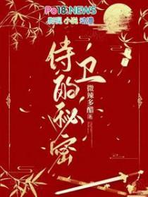 这个侍卫有点木