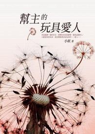 玩具帮主人复仇的电影