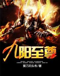 九阳至尊境界等级详解
