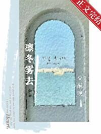 凛冬雾去txt