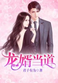 龙婿当道奏风
